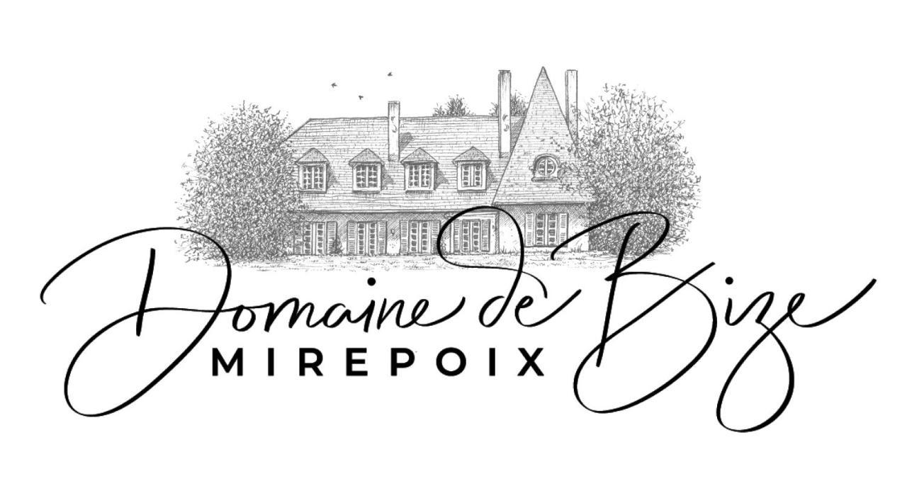 Manoir Et Appartements Avec Piscine Au Domaine De Bize Mirepoix 米尔普瓦 外观 照片