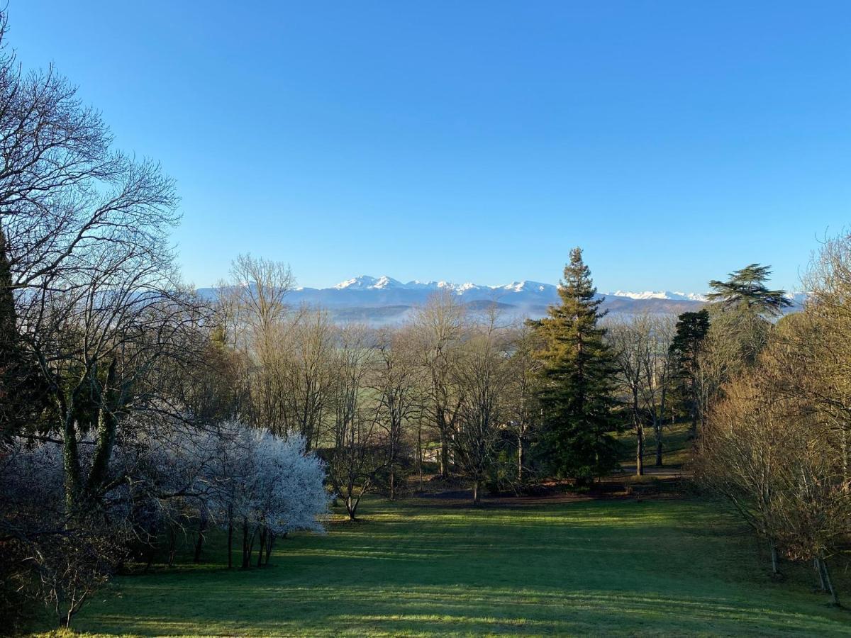 Manoir Et Appartements Avec Piscine Au Domaine De Bize Mirepoix 米尔普瓦 外观 照片