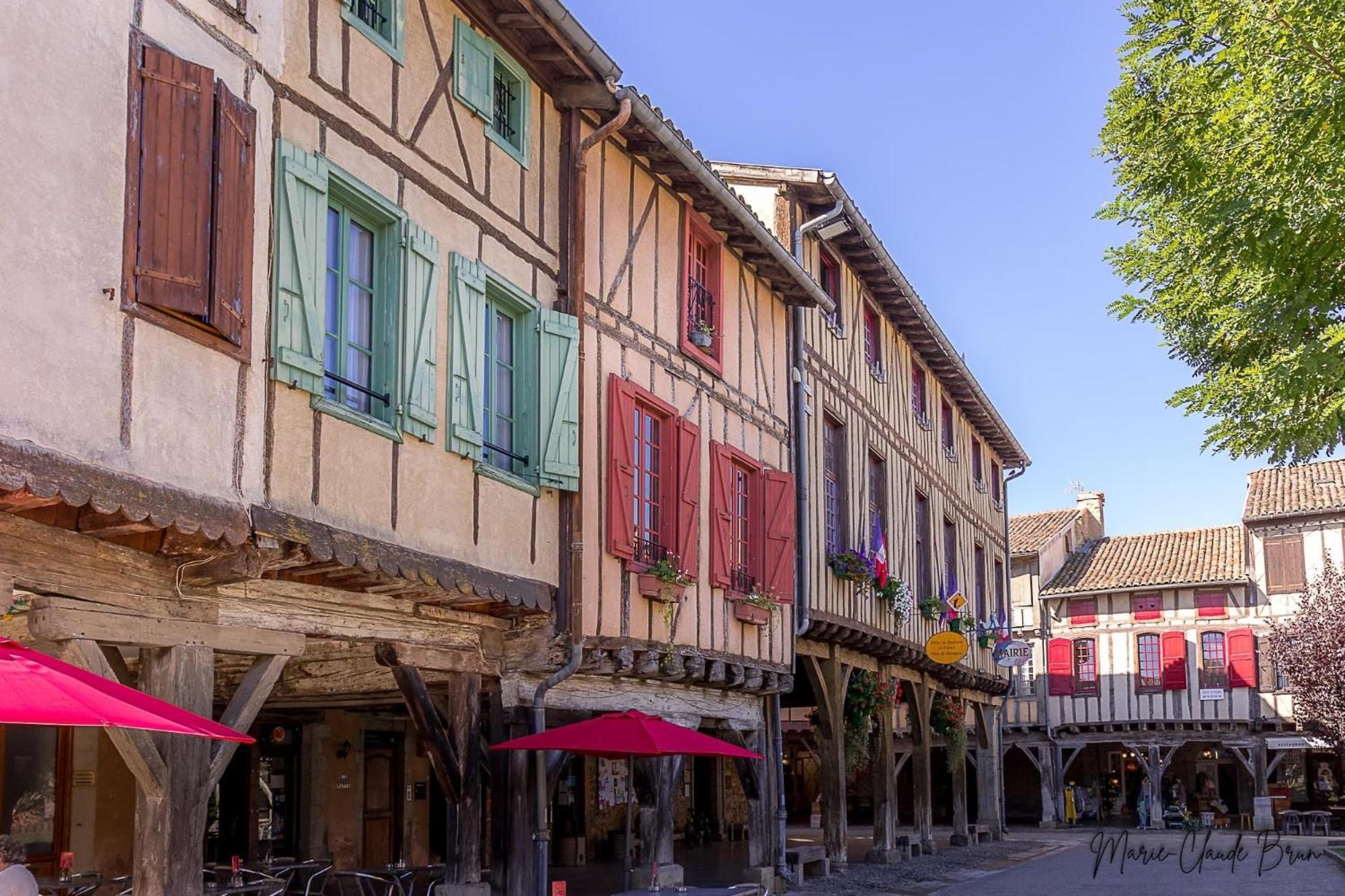Manoir Et Appartements Avec Piscine Au Domaine De Bize Mirepoix 米尔普瓦 外观 照片